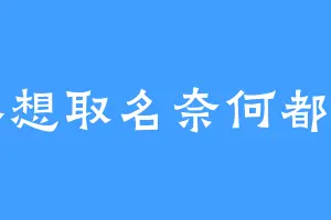 我本想取名奈何都占用
