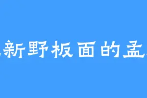 爱吃新野板面的孟海联