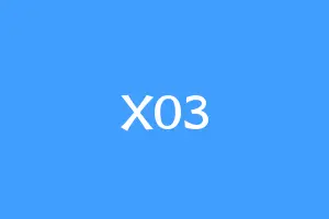 X03